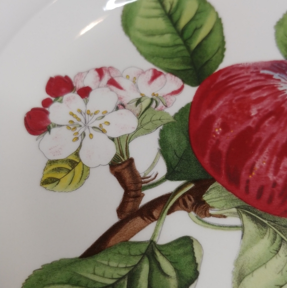 Pomona by Portmeirion Goddess of Fruit China Salad Plate - Hoary Morning Apple - Picture 7 of 9